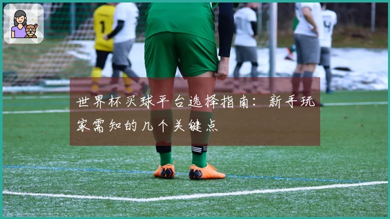 世界杯买球平台选择指南：新手玩家需知的几个关键点