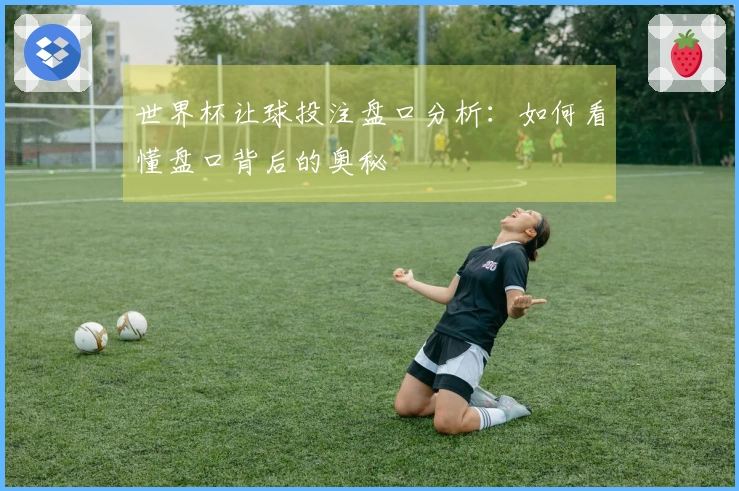 世界杯让球投注盘口分析：如何看懂盘口背后的奥秘