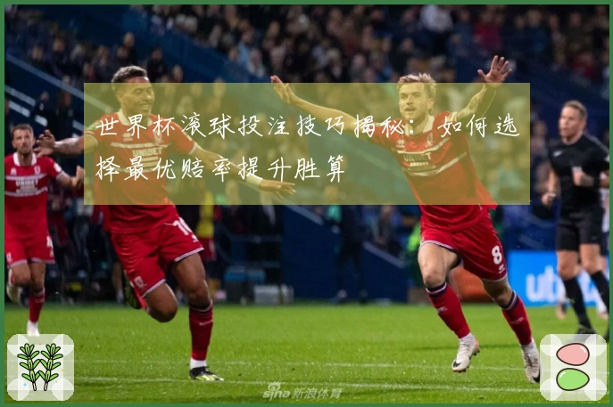 世界杯滚球投注技巧揭秘：如何选择最优赔率提升胜算