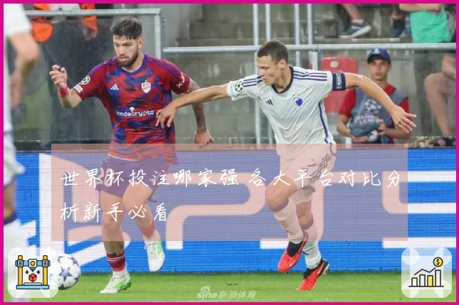 世界杯投注哪家强 各大平台对比分析新手必看