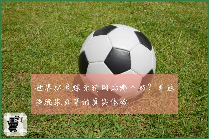 世界杯滚球竞猜网站哪个好？看这些玩家分享的真实体验