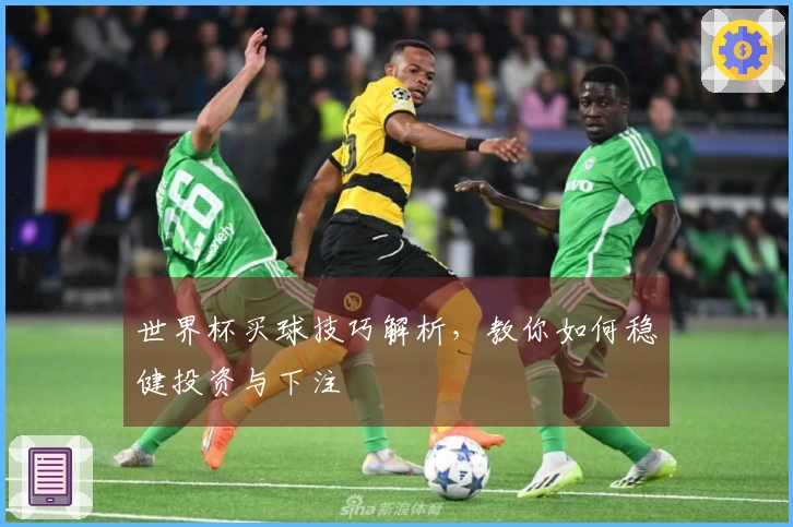 世界杯买球技巧解析，教你如何稳健投资与下注