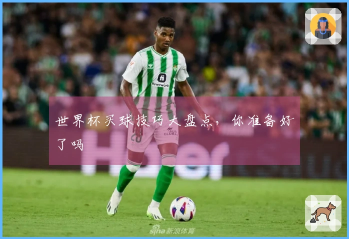 世界杯买球技巧大盘点，你准备好了吗