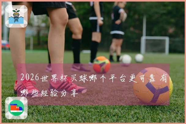 2026世界杯买球哪个平台更可靠 有哪些经验分享