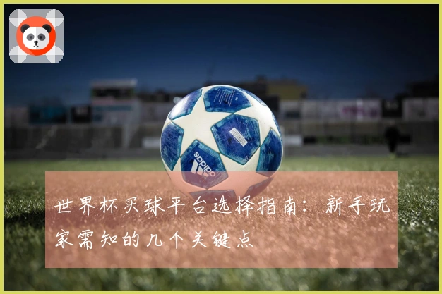 世界杯买球平台选择指南：新手玩家需知的几个关键点