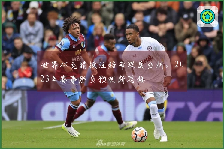 世界杯竞猜投注赔率深度分析，2023年赛事胜负预测新思路