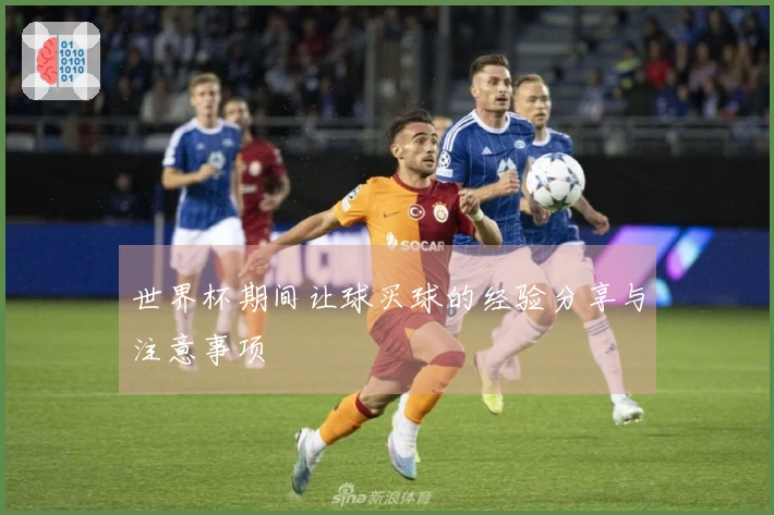 世界杯期间让球买球的经验分享与注意事项