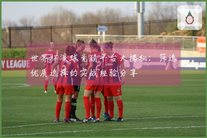 世界杯滚球竞猜平台大揭秘：筛选优质选择的实战经验分享