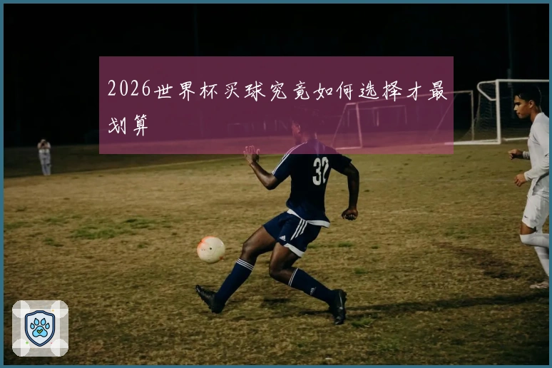 2026世界杯买球究竟如何选择才最划算