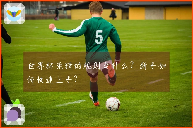 世界杯竞猜的规则是什么？新手如何快速上手？