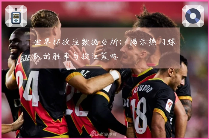 世界杯投注数据分析：揭示热门球队的胜率与投注策略