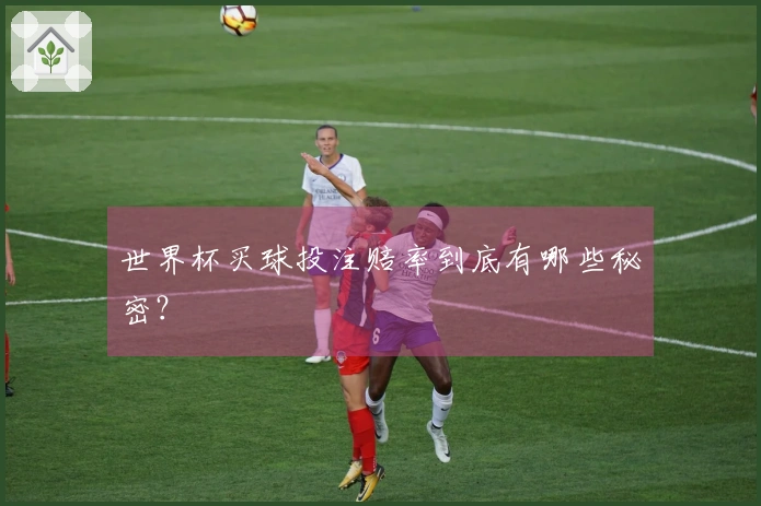 世界杯买球投注赔率到底有哪些秘密？