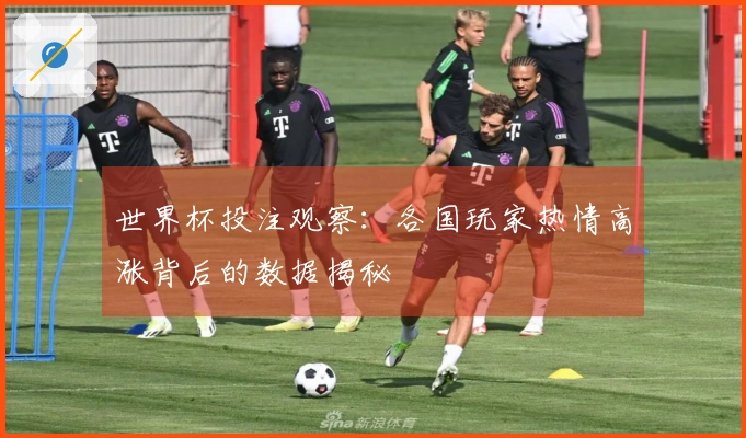 世界杯投注观察：各国玩家热情高涨背后的数据揭秘