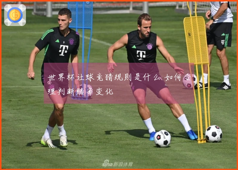 世界杯让球竞猜规则是什么 如何合理判断赔率变化