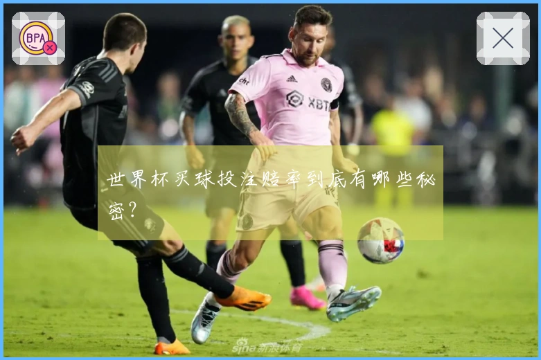 世界杯买球投注赔率到底有哪些秘密？