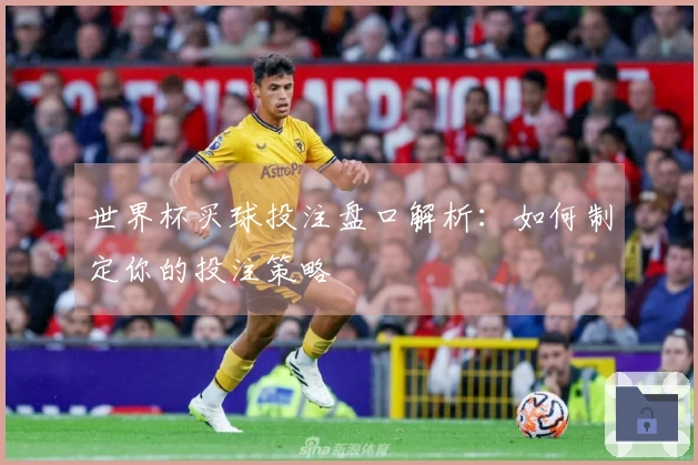 世界杯买球投注盘口解析：如何制定你的投注策略