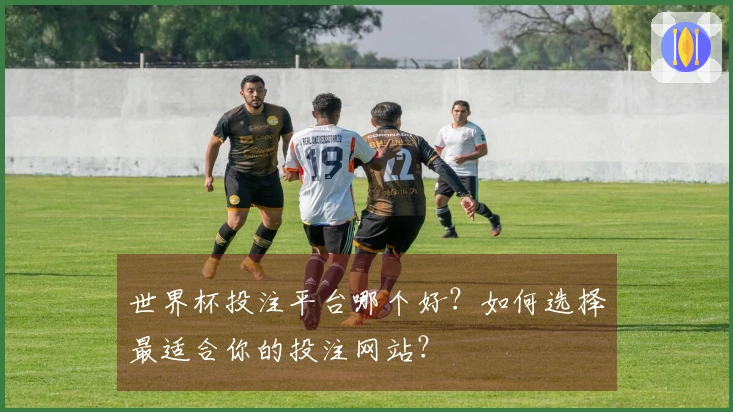 世界杯投注平台哪个好？如何选择最适合你的投注网站？