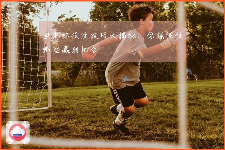 世界杯投注技巧大揭秘，你能抓住哪些赢利机会