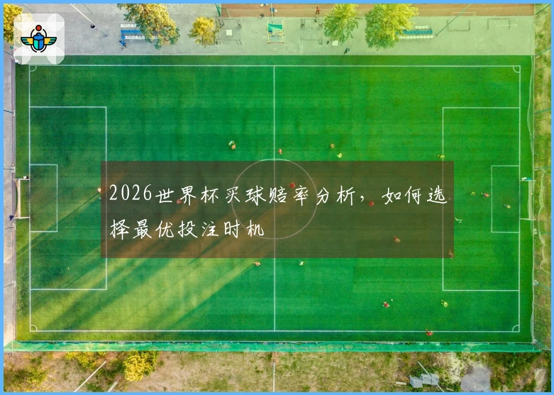 2026世界杯买球赔率分析,如何选择最优投注时机