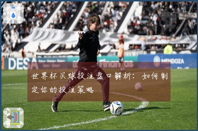世界杯买球投注盘口解析：如何制定你的投注策略