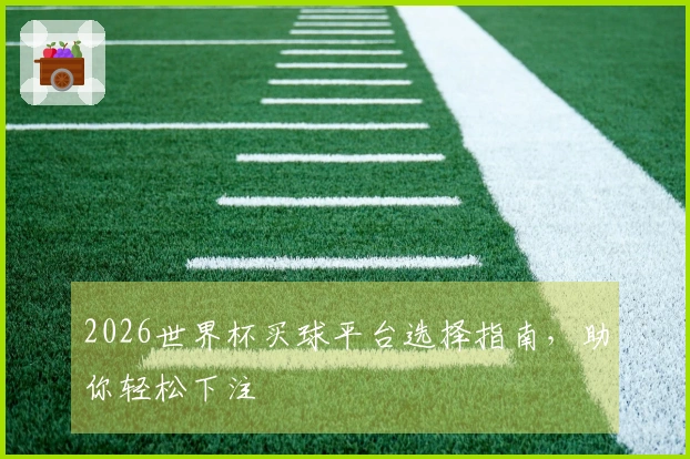 2026世界杯买球平台选择指南，助你轻松下注